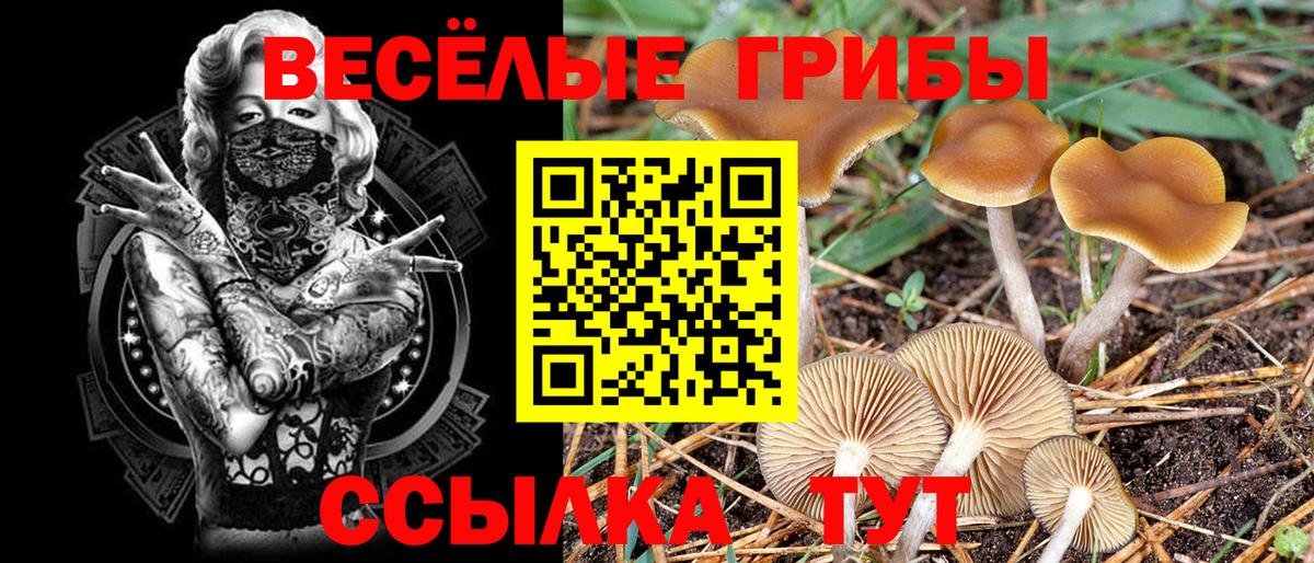 Галлюциногенные грибы MAGIC MUSHROOMS  Вход с VPN  Куйбышев 