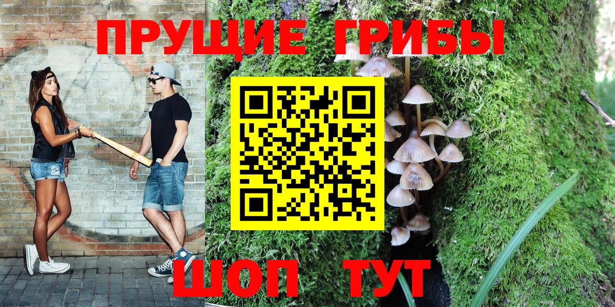 Псилоцибиновые грибы ЛСД Куйбышев